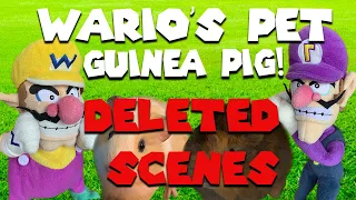 Wario's Pet Guinea Pigs! DELETED SCENES