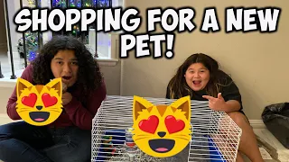 MARY and IZZY GOT A NEW PET! What did they get ???