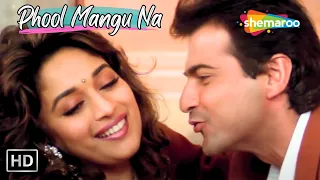 Phool Mangu Na Bahar Mangu | Madhuri Dixit & Sanjay Kapoor | Alka Yagnik Hit Love Songs | Raja Songs