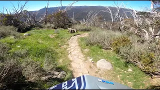 Thredbo Cannonball POV Rebuilt