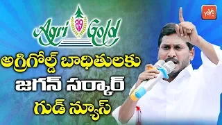 AP Home Minister Sucharitha About Agrigold Victims | YS Jagan | AP News | YOYO TV Channel