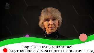 Борьба за существование: внутривидовая, межвидовая, абиотическая. 9 класс.