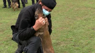 GLI “AMICI A 4 ZAMPE” DELL’ARMA: VALERIO STAFFELLI ALLA SCOPERTA DEL CENTRO CARABINIERI CINOFILI