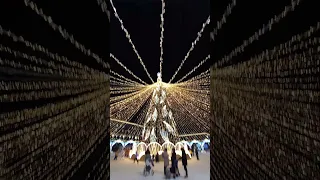 Новогодняя Ёлка на главной площади в Орле 2023-2024