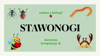 #25 Stawonogi 🐜 - budowa, charakterystyka 📕 biologia rozszerzona do  matury 🍀 liceum