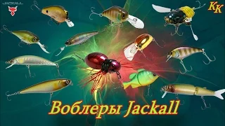 Константин Кузьмин. Воблеры Jackall.