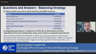 Seattle City Council Select Budget Committee 7/8/2020 Session II