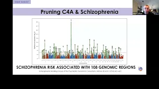 Optimal Treatment of Psychosis: Clozapine, Engagement, and Community 12/15/23