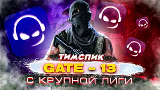 ТИМСПИК GATE-13 С КРУПНОЙ ЛИГИ В CALL OF DUTY MOBILE