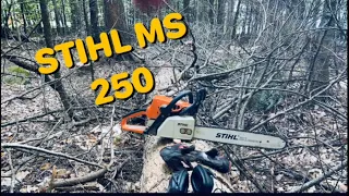 Cutting firewood with a STIHL MS 250.