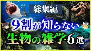 【ゆっくり解説】【総集編】9割の人が知らない⁉生物の謎・雑学6選を解説【作業用】【睡眠用】