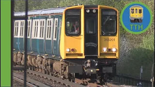 Sussex Rambler   Class 313 Farewell tour