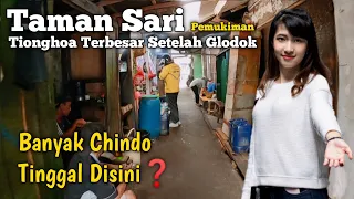 Pemukiman Tionghoa Terbesar Setelah Glodok | Taman Sari Jakarta Barat