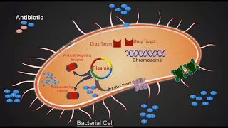 General Bacterial Resistance animation
