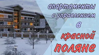 ТВОЙ ПАССИВНЫЙ ДОХОД В КРАСНОЙ ПОЛЯНЕ / АК ПОЛЯНА ПАРК / ДВИЖ ЗА НЕДВИЖ