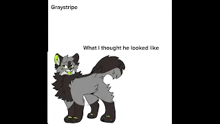 What I thought warrior cats looked like vs what they actually look like part 1(glitchy