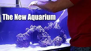 New saltwater aquarium SET UP | The King of DIY