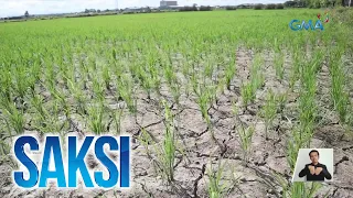 4.1-M metric tons ng bigas, tinatayang aangkatin ng Pilipinas ngayong taon, ayon sa... | Saksi