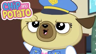 Chip and Potato | Policja Pug Chip w Twojej służbie | Kreskówki Dla Dzieci