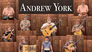 Andrew York - Play Everything