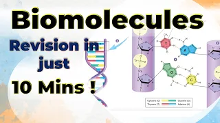 Biomolecules Complete Revision in 10 mins Chemistry Class 12 One shot video