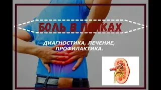 Боль в почках: причины, диагностика, лечение