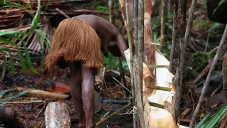 Papua. Korowai tribe. #15