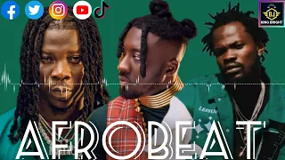 Afrobeat Mix of 2024 #dance #dj Amerado #music Stonebwoy #india Fameye #millionaire #afrobeat #rnb