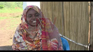 Sudanese refugees struggle in Kiryandongo settlement camp