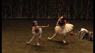 'The Ugly Duckling' full-length children's ballet