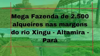 Mega Fazenda Nas Margens do Rio Xingu - Altamira - Pará