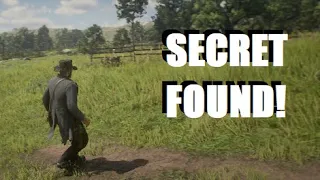 Rare SECRET COIN Found in Red Dead Redemption 2!