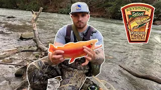 KEYSTONE SELECT PA TROUT FISHING! I CAUGHT A PALOMINO WITH A BIG HOOKJAW!