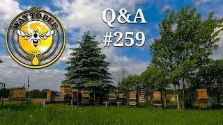 Backyard Beekeeping Questions and Answers Episode 259