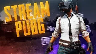 НИКОГДА НЕ СДАВАЙСЯ // СТРИМ PUBG