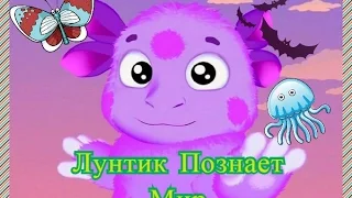 Лунтик Познаёт Мир. Выпуск 1. Развивающая игра для малышей