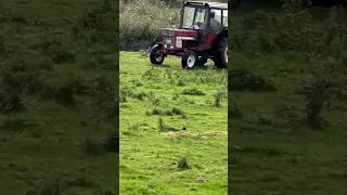 В Германии выбрасывают морковь 🤔🤔🤔🥕🥕🥕