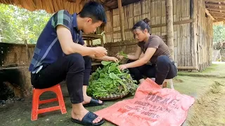 The couple harvests green vegetables and sells them at the market for daily farm life