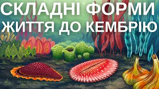 ЗАГАДКОВІ ІСТОТИ ЕДІАКАРСЬКОГО ПЕРІОДУ - НЕ ПРОВАЛЕНИЙ ЕВОЛЮЦіЙНИЙ ЕКСПЕРИМЕНТ