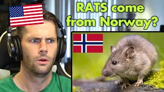 American Reacts to AMAZING Facts About Norway (Part 2)
