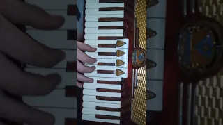 Akordeon ACCORDIOLA CAMERANO 80 bas zabrałaś serce moje