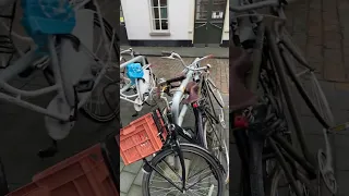 Велосипеды в Нидерландах 🚲🇳🇱