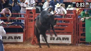 Fiesta del Peón - Barretos, Brasil