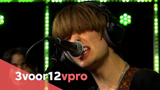 The Vices - Live at 3FM (VoorAan)