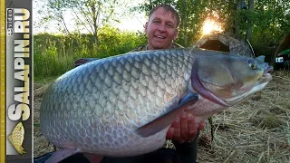 Amur Fishing - Biggest Trophy 30 kg [salapinru]