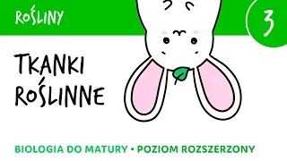 Rośliny 3 - Tkanki roślinne + BONUS notatka do pobrania! biologia do matury liceum rozszerzona