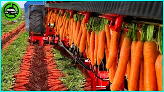 The Most Modern Agriculture Machines That Are At Another Level , How To Harvest Carrots In Farm