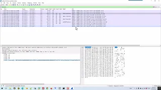 Reversing A Network Protocol