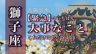 ♌️獅子座🌙5/15-6/15🌟拡大と繁栄 自分らしさが生きる道 安心と穏やかさ しあわせで満ちた未来🌟しあわせになる力を引きだすタロットセラピー