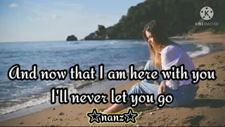 Where Do Broken Hearts Go - by Whitney Houston with ( lyrics )